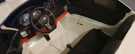 BMW X6 wit (2 persoons)