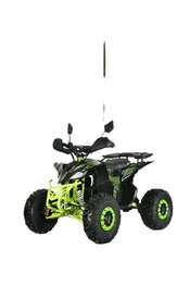 Quad 1500Watt elektrisch BRUSHLESS