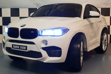 BMW X6 wit (2 persoons)